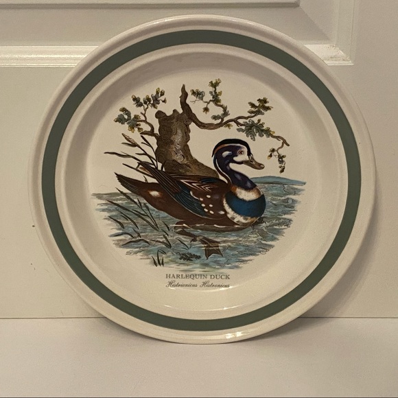 PORTMEIRION BIRDS OF BRITAIN DINNER PLATE HARLEQUIN DUCK WHITE GREEN 10.5” HOME - Picture 1 of 12